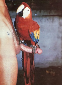 xxx tumblr