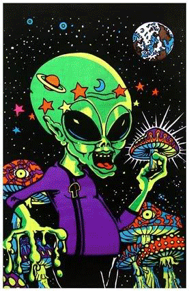 letslivethetrippylife:  ~~FOLLOW ME TO TRIP~~ 