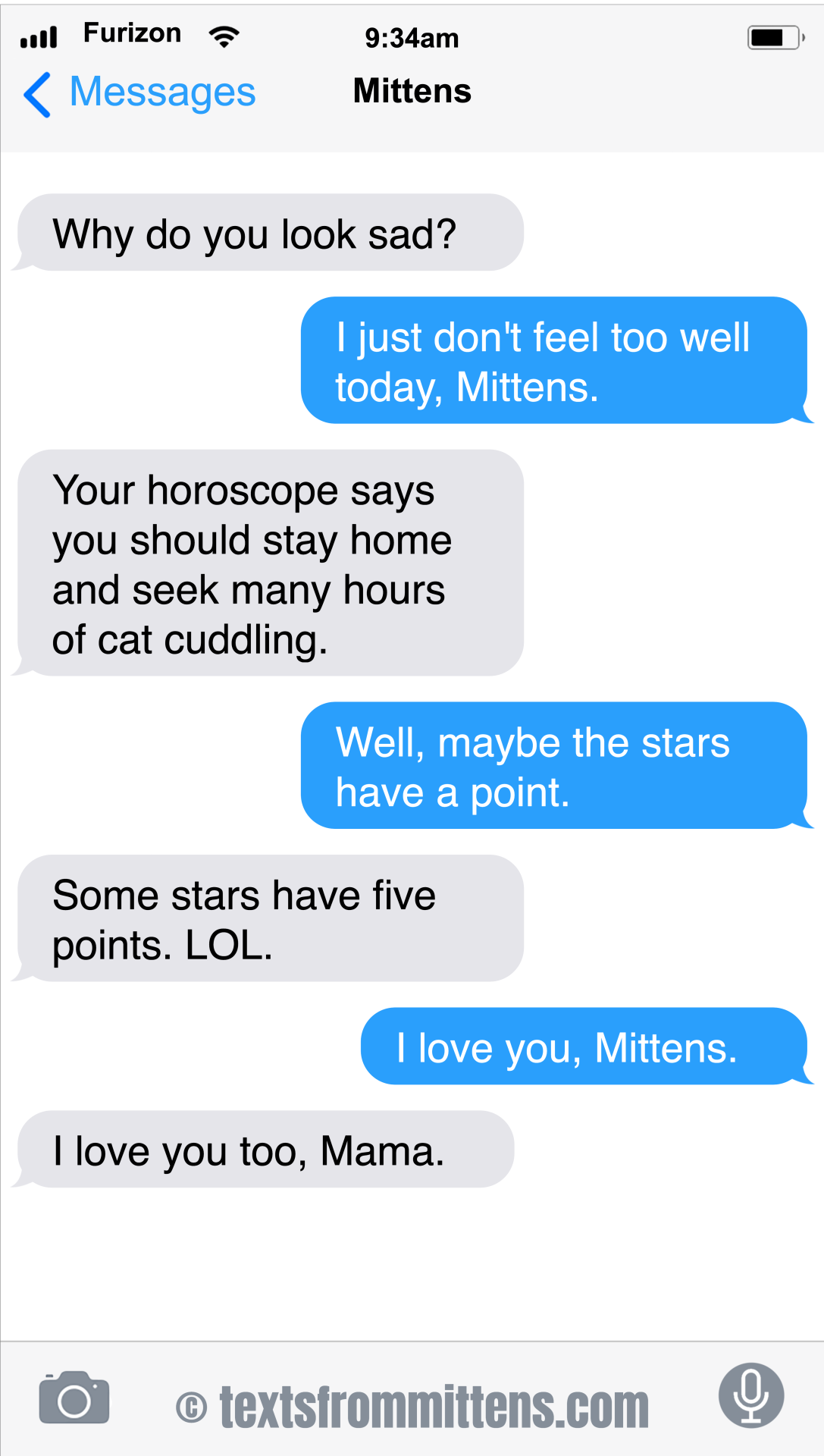 Texts From Mittens New Daily Mittens The Point Edition 2021 texts from mittens the cat day to day calendar