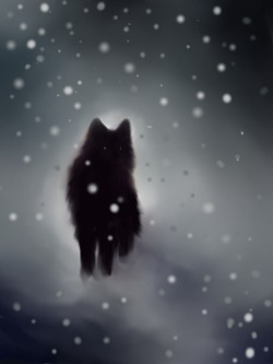 wolfsongserenade:  Black Wolf by isisandwolf