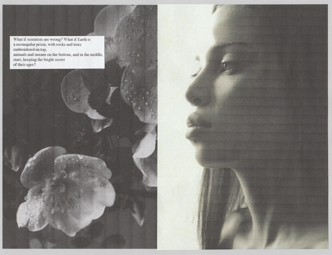 alexandernevermine:  LXXVII