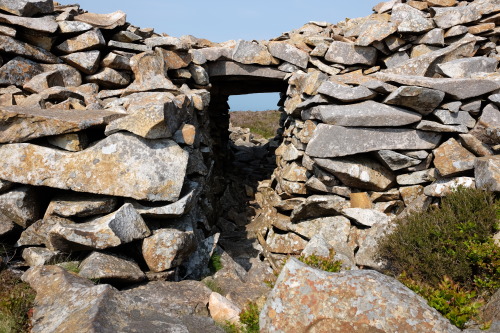 Tre’r Ceiri Iron Age Hillfort on the Llyn Peninsula of North Wales. I spent a fantastic sunny aftern