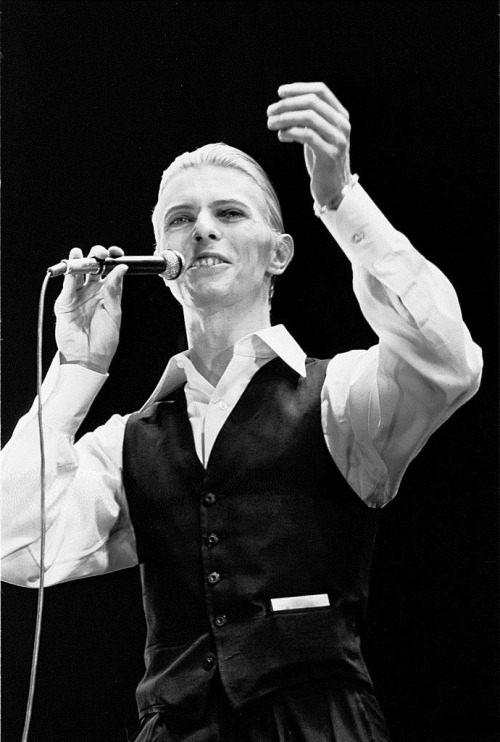 nightspell:David Bowie, May 13, 1976, Ahoy, Rotterdamphotos by Gijsbert Hanekroot