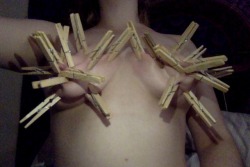 twistedlilslut:  1000 followers and a little experiment with clothes pegs. Got a lovely video of me trying to shake all of these pegs off 