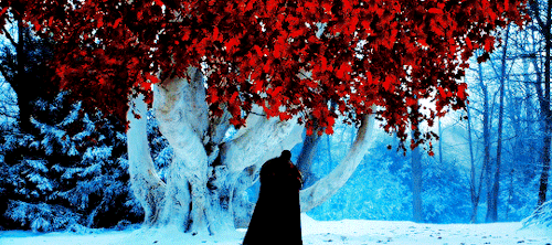 highvalyrian: The Dragons in Winter