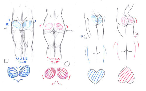 Sex artist-refs:  Butt Tutorial by Imoon90 pictures