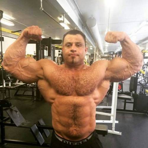 bodybodyman:  Wassim Ibrahim