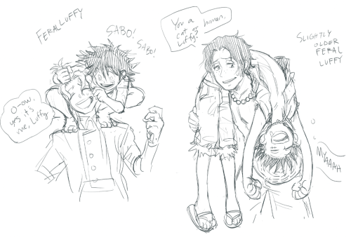 feriowind:more feral luffy!feral luffy likes to laze around like a cat and drape over anywhere, thou