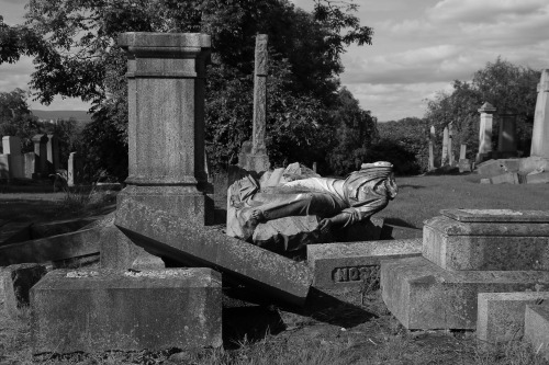 apingaround:Cathcart Cemetery by tales from transdanubiaVia Flickr:Cathcart Cemetery