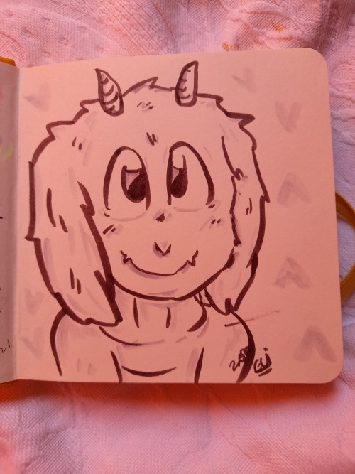 New Sketchbook