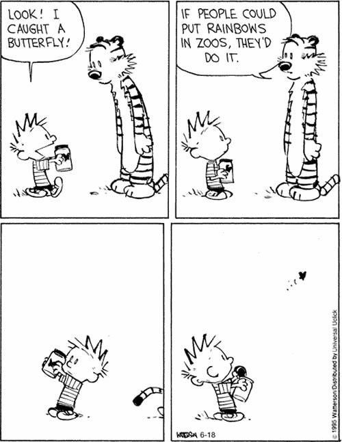 disimba:Calvin and Hobbes shaped my life.