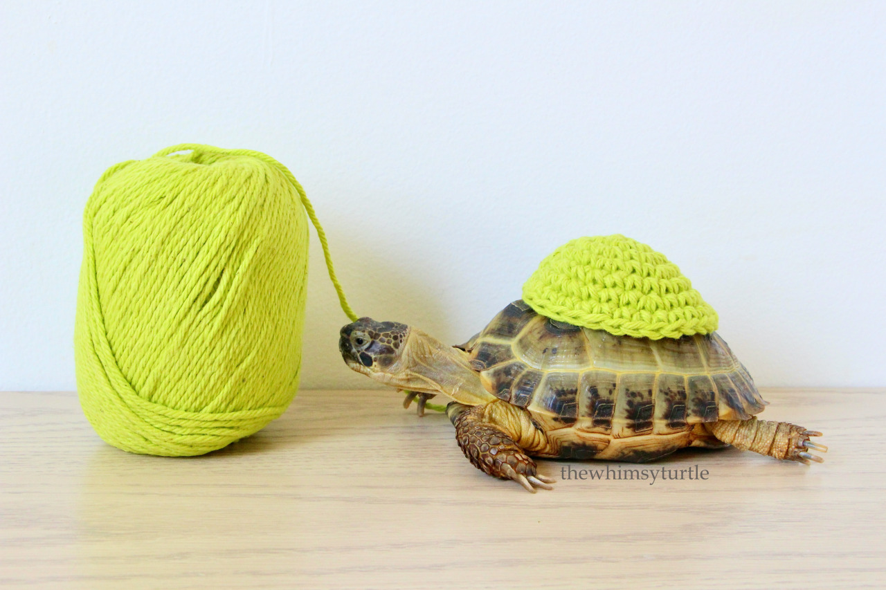 Happy I Love Yarn Day Mom Has Started Crocheting My Costume For Happy I Love Yarn Day Mom Has Started Crocheting My Costume For