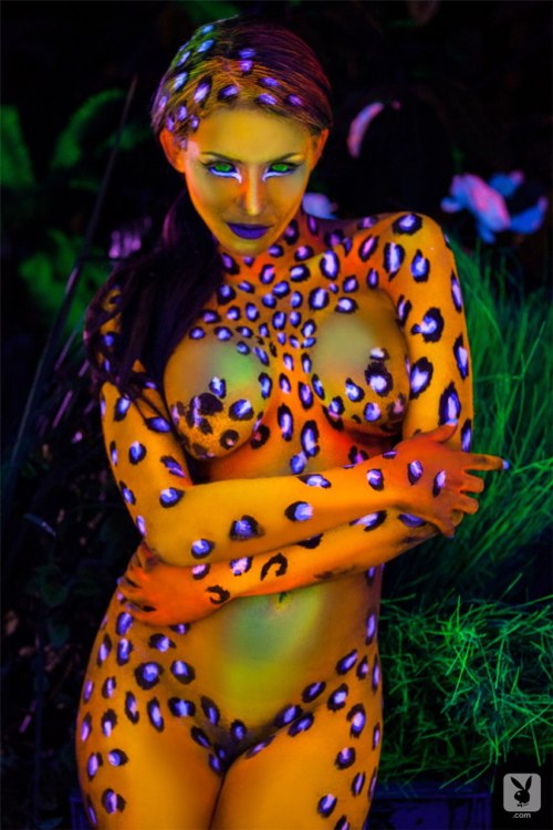 meelikeealot:  Animal Instincts: After Dark…part 3