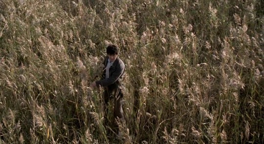 scenesandscreens:Memories of Murder (2003)Director - Bong Joon-ho, Cinematography