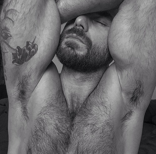 beardburnme: josillosevillanova Instagram