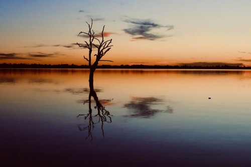 Soft Muted Colours of Lake Bonney.Just coming out of a brief stage 4 lock-down, never been so gratef