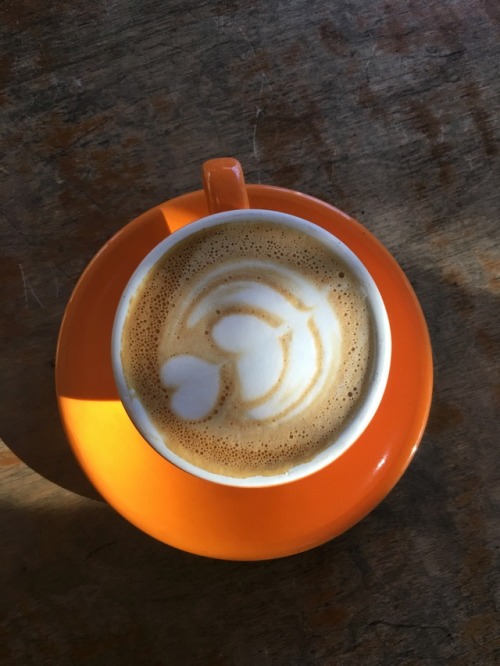 Gratuitous coffee shot. Four Barrel.