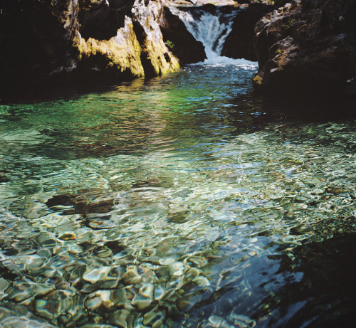 peaceful-moon:☮ nature and good vibes ☾