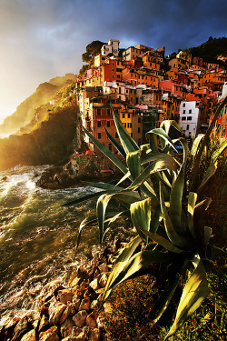 italian-luxury:Riomaggiore