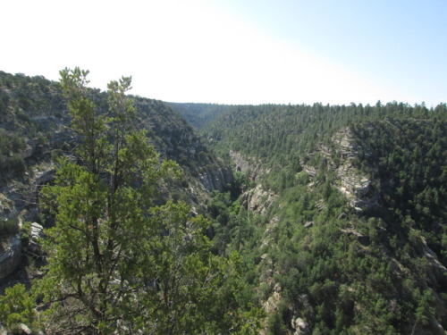 muffinsandemptyteacups:Walnut Canyon National Monument is an often overlooked site in northern Arizo