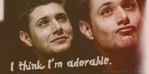 misshoopers:  «My name is Dean Winchester. I’m an Aquarius, I enjoy sunsets, long