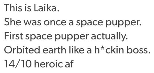 animalrates:  more animals rated here   Laika c. 1954 – November 3, 1957) was a Soviet space dog who became one of the first animals in space, and the first animal to orbit the Earth. Laika, a stray dog from the streets of Moscow, was selected to be