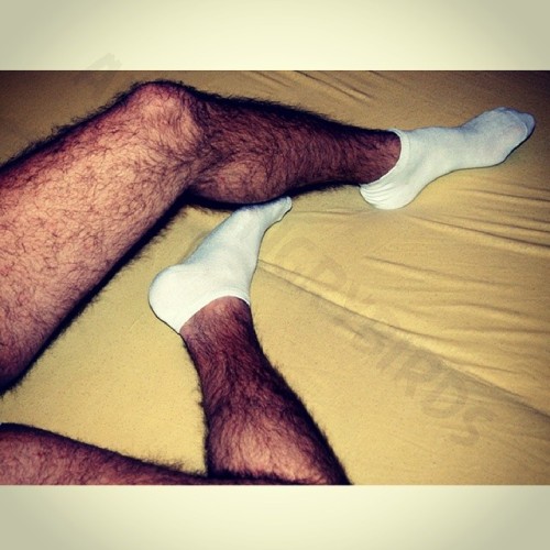   show me your hairy legs;) snapchat: hairylgs  