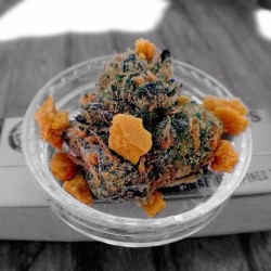 cannabisworldnews:  breakfast is served 