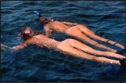 allnudism:  allnudism :  More nudism pics