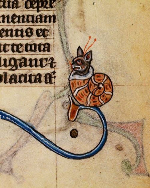 themagicfarawayttree:Marginal cat-snail, 14th century