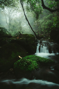 Drxgonfly:ali Pond Falls Ii (By Bo Wen Huang)