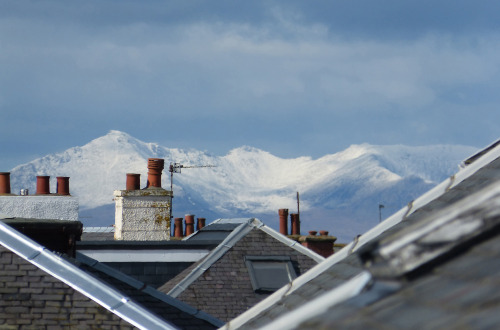 delave:  view of Isle of Arran, Scotland from my grandma’s house 