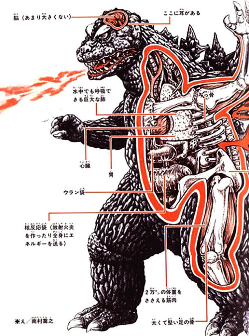 Shoij Otomo and Shogo EndoAn Anatomical Guide to Monsters: Gamera, Godzilla, Gappa, Mothra Larva, An