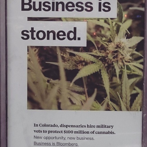 Just seen this on the side of a phone booth on 34 it was bad until they could make money off of it..now it’s a blooming business that Bloomberg approves… #we'vebeenokingforyearstho #growyourown #weedisforallofus #getyastockin #howdoyoufeelabo