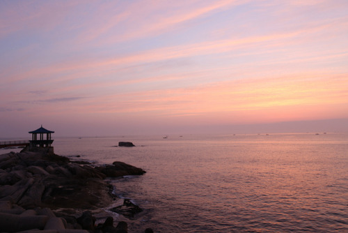 fuckyeahjapanandkorea:  IMG_0224 by nhanvo10 