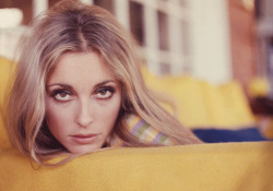 lovesharontate:Sharon Tate at Summitridge