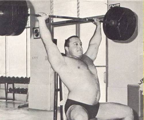 Muscle & Power Lifting Bear Pinups