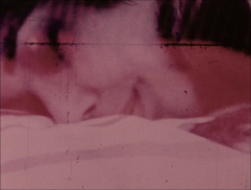 365filmsbyauroranocte:   Fuses (Carolee Schneemann, 1967)  