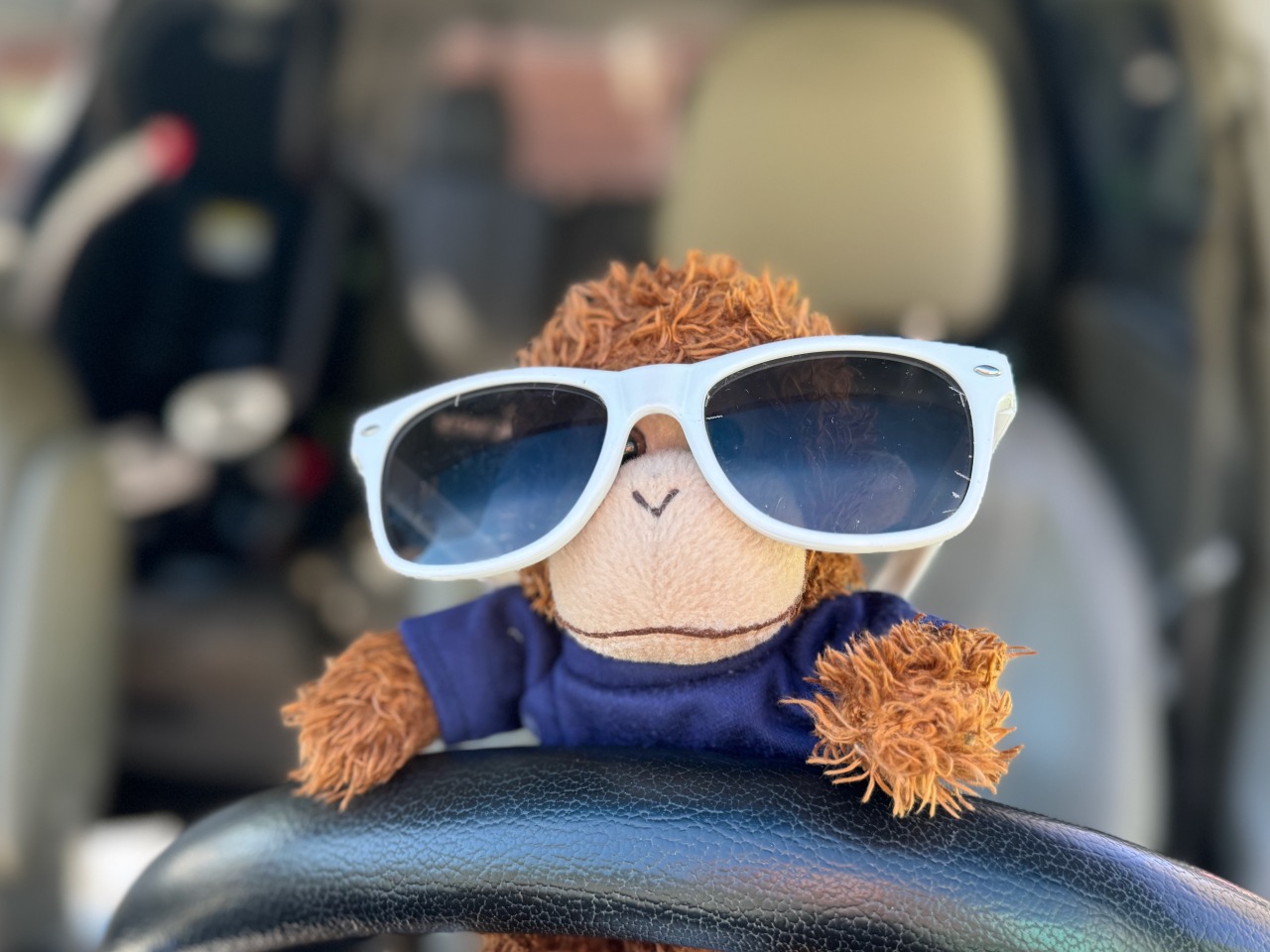 Bob T. Monkey wearing sunglasses, driving his car.
