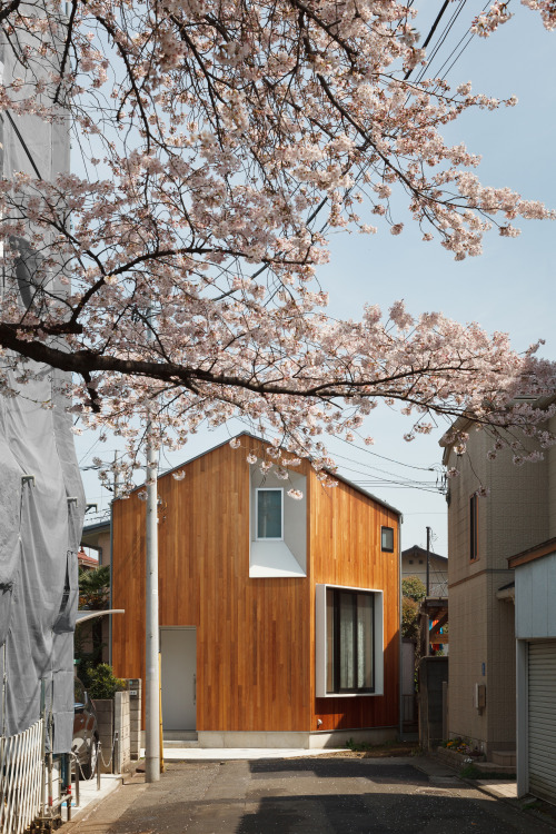 dezeen:Atelier Kukka’s House U stands beside a cherry blossom tree in Tokyo »
