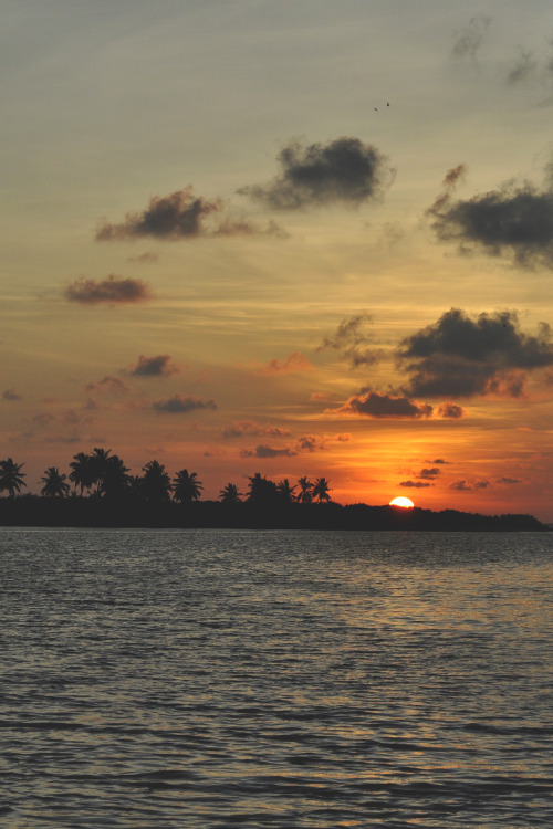 lsleofskye:  maldivian sunset