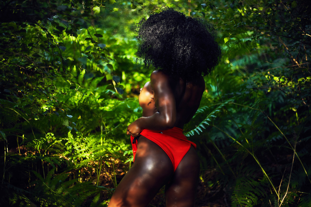 eazyvisuals:Jungle fever;