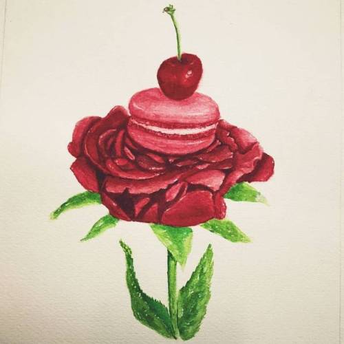  R A C C O O N #instart #flower #rose #cherry #macaron #watercolor #watercolors