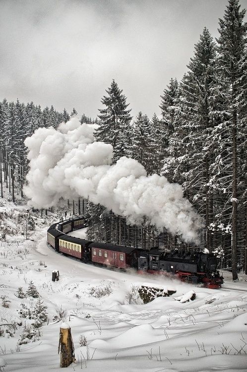 rollinokie:  expression-venusia: Snow Train, The Blac Expression Photography   😊