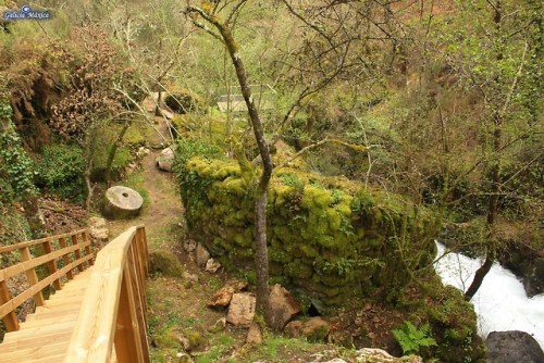 Pozo do Inferno, en CrecenteInfo: https://www.galiciamaxica.eu/galicia/pozo-do-inferno-rio-ribadil/