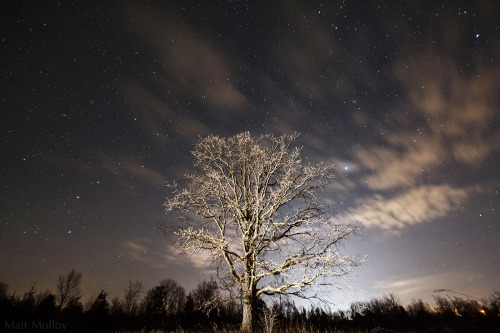 look like impressionist paintings by matt molloy