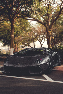 pictures-of-luxury:  Picture Galleries l