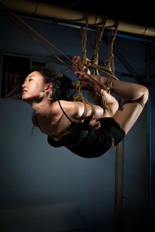 thevertigonetwork:    Kinbaku Kasumi Hourai 