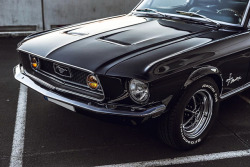 carspotdx:  1968 Ford MustangSource: @thatblack68fastback instagram  🤤😍