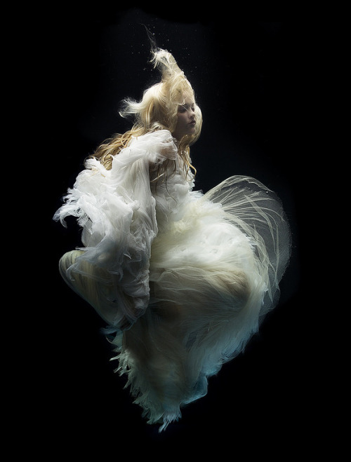 idreamofaworldofcouture:Photographs from the ‘Swan Song’ series by underwater photographer Zena Holl